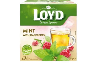 Piparmētru tēja LOYD Pyramids HERBAL ar avenēm 20x1,5g