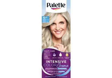 Püsivärv PALETTE ICC 10-1 Ark.Hõbeblond