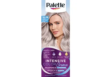 Püsivärv PALETTE ICC 10-19 jahe hõbeblond