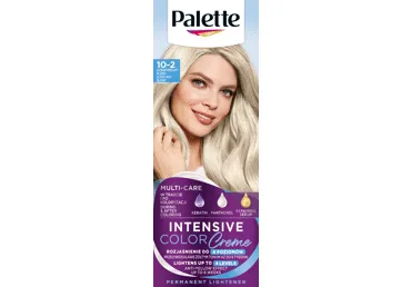Püsivärv PALETTE ICC 10-2 tuhkblond