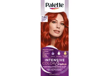 Püsivärv PALETTE ICC 7-887