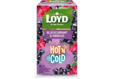 Puuv. tee LOYD Hot&Cold mustsõstra 15x2g