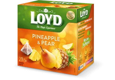 Augļu tēja LOYD Pyramids ar ananasu un bumbieru garšu, 20x2 g