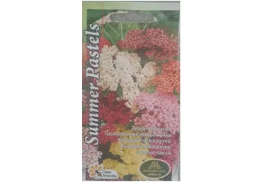 Raudrohi dekoratiivne