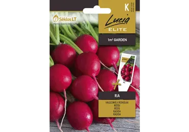 Sēklas: Redīsi RIA gab.