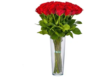 Roosikimp 15tk, 30cm
