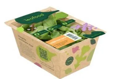 Salat Baby Pak Choi, 70g