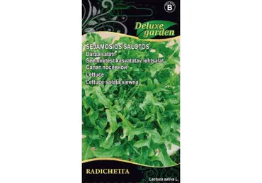 Salat Lettuce