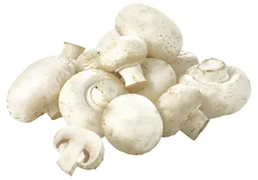 Šampinjon lahtine, kg