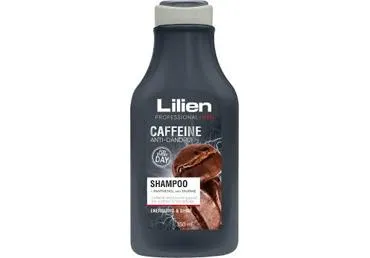 Šampoon LILIEN Anti-Dandruff Men 350ml