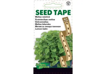 Sidrunmeliss Lemon balm