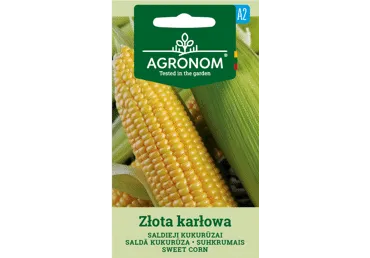 Suhkrumais Złota Karłowa