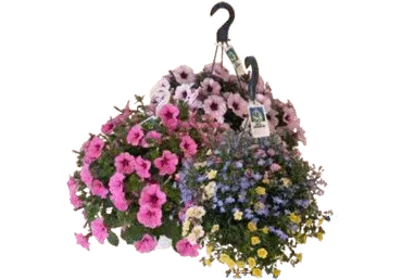 Suvelille ampel 27cm 1tk