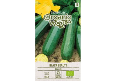 Sēklas: Cukini BLACK BEAUTY gab.