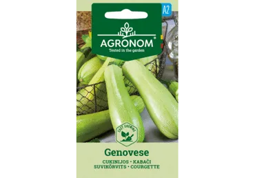Sēklas: Cukini GENOVESE gab.