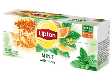 Taimetee LIPTON tsit.-piparmünt 20x1,3g