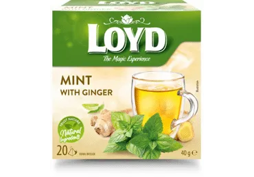 Taimetee LOYD piparmünt-ingver 20x2g