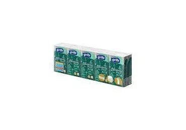 Taskurätikud GRITE Mint 3kih 10x10tk