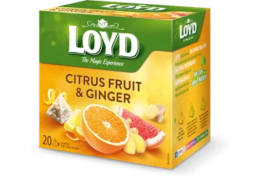 Tee LOYD Ginger&Citrus Fruit 20x2g