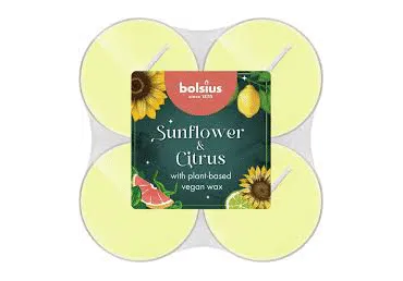 Teeküünlad Maxi Sunflower&Citrus 8tk