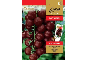 Sēklas: Tomāti BLACK CHERRY gab.