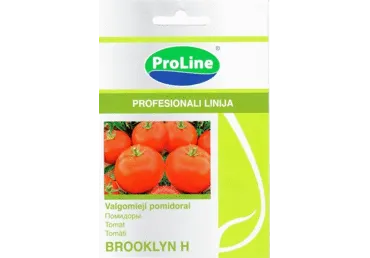 Tomat Brooklyn H