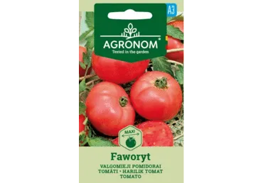 Tomat Faworyt