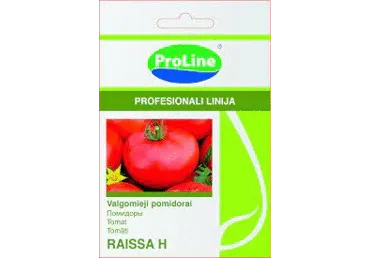 Tomat Raissa H