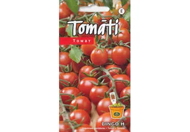 Tomatid Bingo H