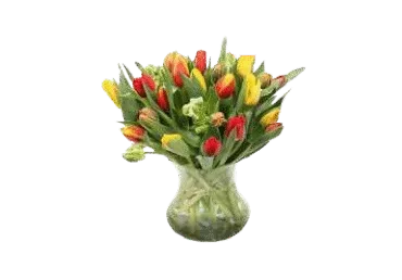 Grieztie ziedi Tulpes 15gab.