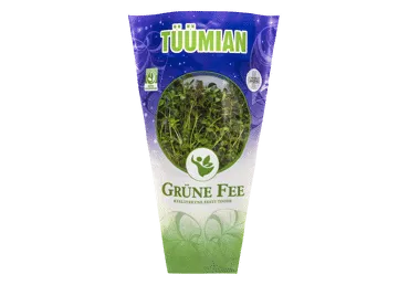 91521 tüümian