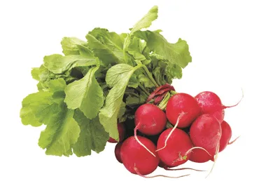 Redīsi buntītē ar lapām gab.
