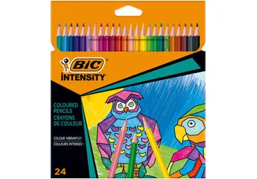 Värvipliiatsid BIC Color Up 24tk
