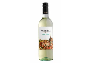 Vein ANTERRA Pinot Grigio 750ml