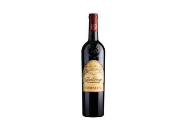 Sarkanvīns TOMMASI Gratticio Appassimento, pussauss, 13%, 0.75 l