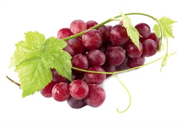 Viinamari punane Red Globe 1kl., kg