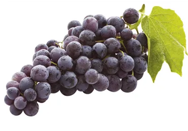 Viinamari tume seemneteta, SELVER, 500 g