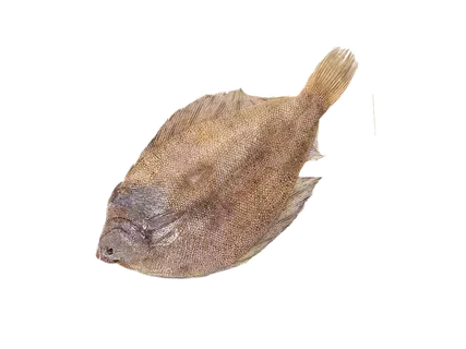 Fishnet Euroopa hiidlest