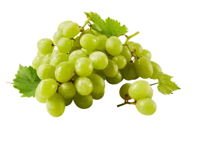 Viinamari hele seemneteta, SELVER, 500 g