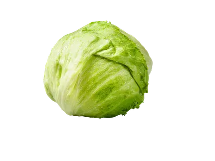 Jääsalat