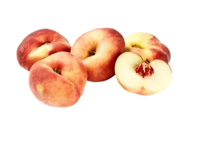 Lamevirsik