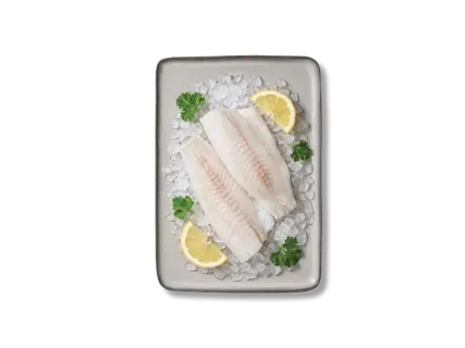 Merluusifilee