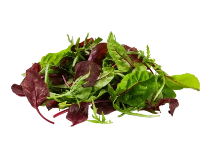 Salātu maisījums 125g