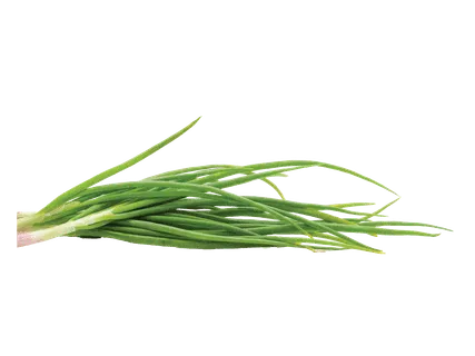 Sīpolloki 100g