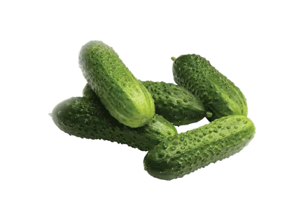 Väike kurk