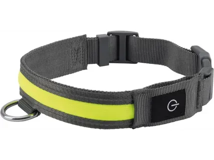 zoofari® LED gaismas lente vai kaklasiksna suņiem 1gab