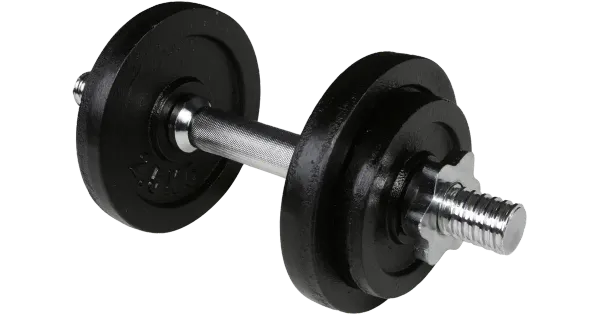 10 kg hantlite komplekt