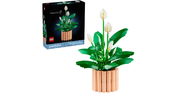 11504 botanicals