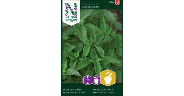 90068 basiilik, sitruuna-, lemon scent