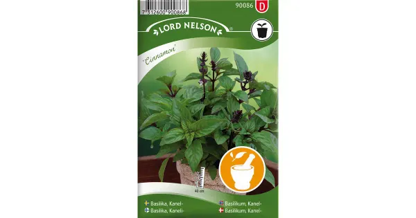 90086 basiilik, kaneli-, cinnamon